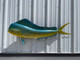 53 inch bull dolphin replica for sale