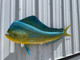 53 inch bull dolphin full mount for sale