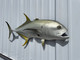 40 Inch Jack Crevalle Half Mount Replica - Head View