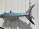 46" Kingfish Full Mount