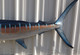 98" Striped Marlin Full Mount