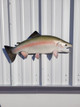 25 Inch Rainbow Trout Half  Fish Mount - Side View