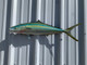 30 inch rainbow runner fish replica in stock