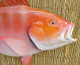 32" Red Snapper Half Mount Fish Replica