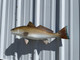 27 inch redfish fish replica for sale