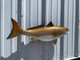 In Stock 29 Inch Redfish Full Mount Fish Replica - Flank View