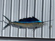73 inch sailfish half mount fish replica