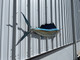 73 inch sailfish half mount replica