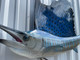 75 inch sailfish mount in stock