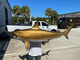 82 inch hammerhead shark replica in stock