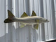 31 inch snook full mount fish replica for sale in stock
