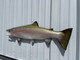 39 Inch Steelhead Trout Half Mount Fish Mount - Flank View
