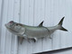 54 inch tarpon full mount fish replica