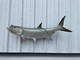 60 inch tarpon full mount reproduction