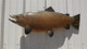 36 inch brown trout fish replica