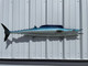 53 Inch Wahoo (Ono) Fish Half Mount - Side View