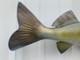 Walleye Fish Mount - 21" Two Sided Wall Mount Fish Replica