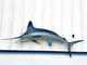 87" White Marlin Full Mount