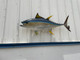 55" Yellowfin Tuna Full Mount - IN STOCK