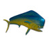 65-inch-Bull-Dolphin-Half-Sided-Fish-Mount-Replica
