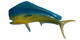 65-inch-bull-dolphin-half-sided-fish-repica-left-facing
