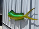 53 inch bull dolphin half mount green color