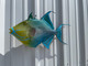 In Stock 24 Inch Queen Triggerfish Fish Mount - Head View