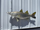 36 inch snook #2 mount for sale