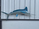 75 inch white marlin fish replica