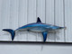 82 Mako Shark Half Mount Replica