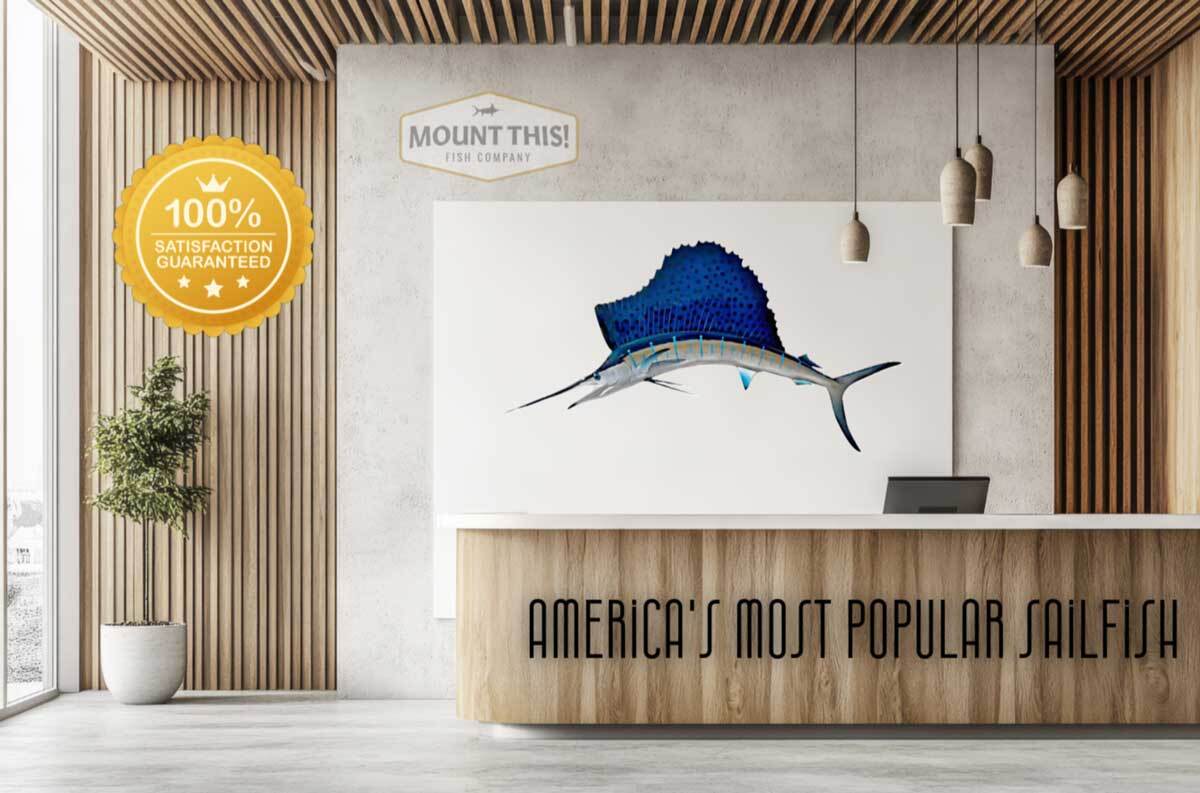 americas most popular sailfish fish mount