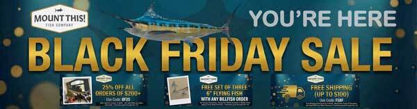 black friday small web header