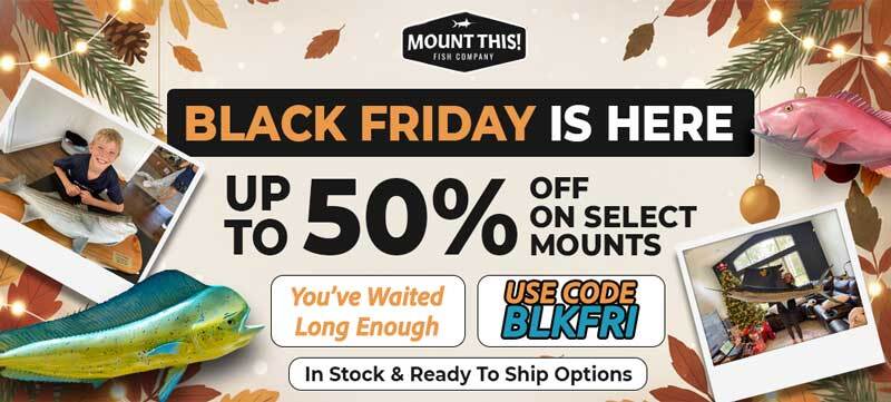 dog-days-of-summer-sale-take50ff.jpg Pre Black Friday 50% Off Fish Mounts