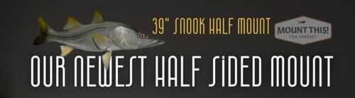 Snook Half Mount Fish Replica