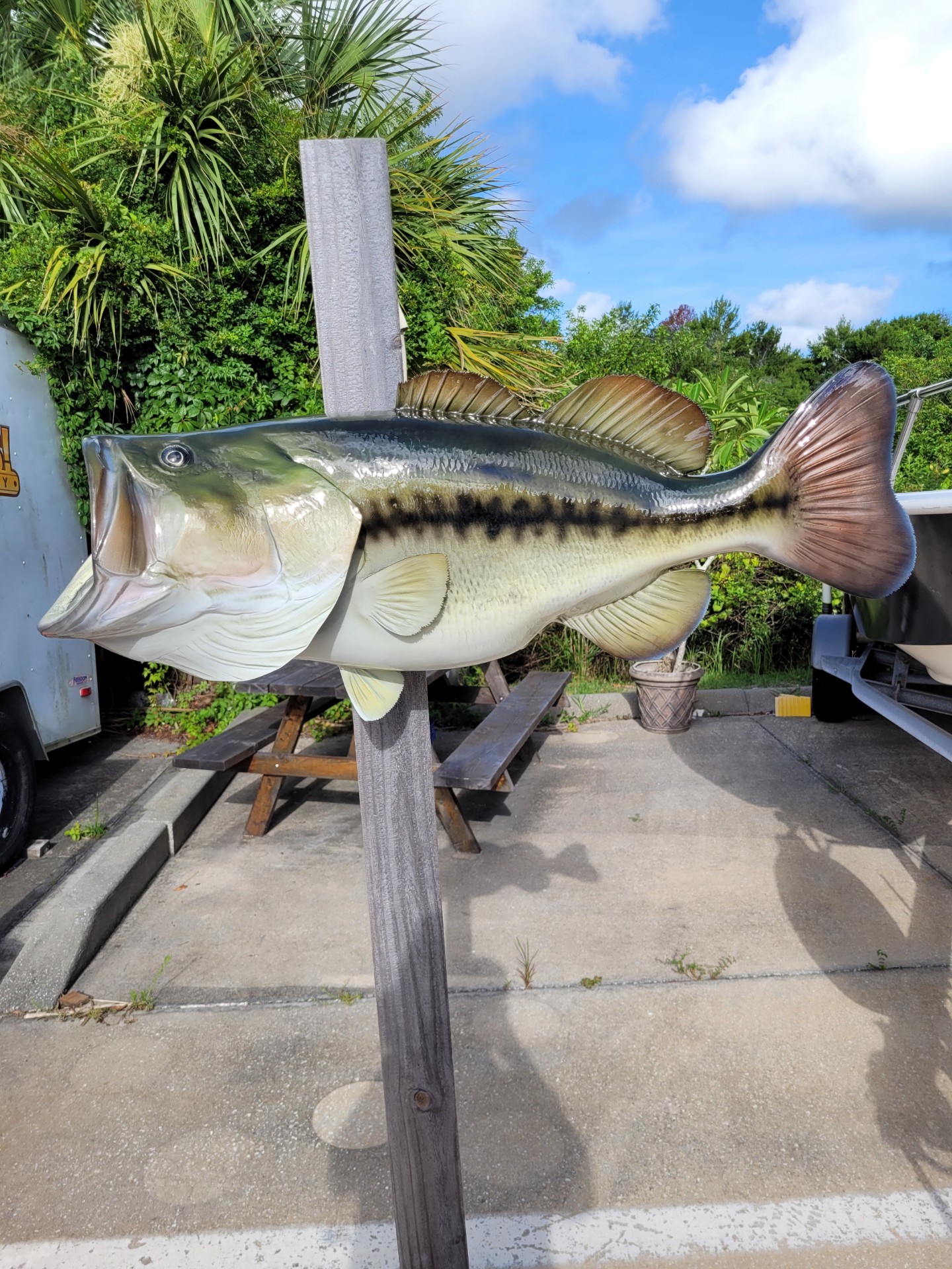 32 Inch Largemouth Bass Fish Mount Replica Reproduction For Sale