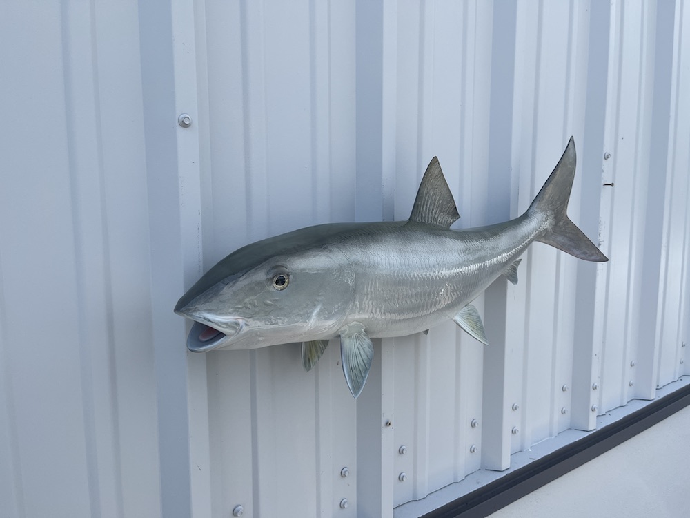 32 Inch Bonefish Fish Mount Replica For Sale And In Stock