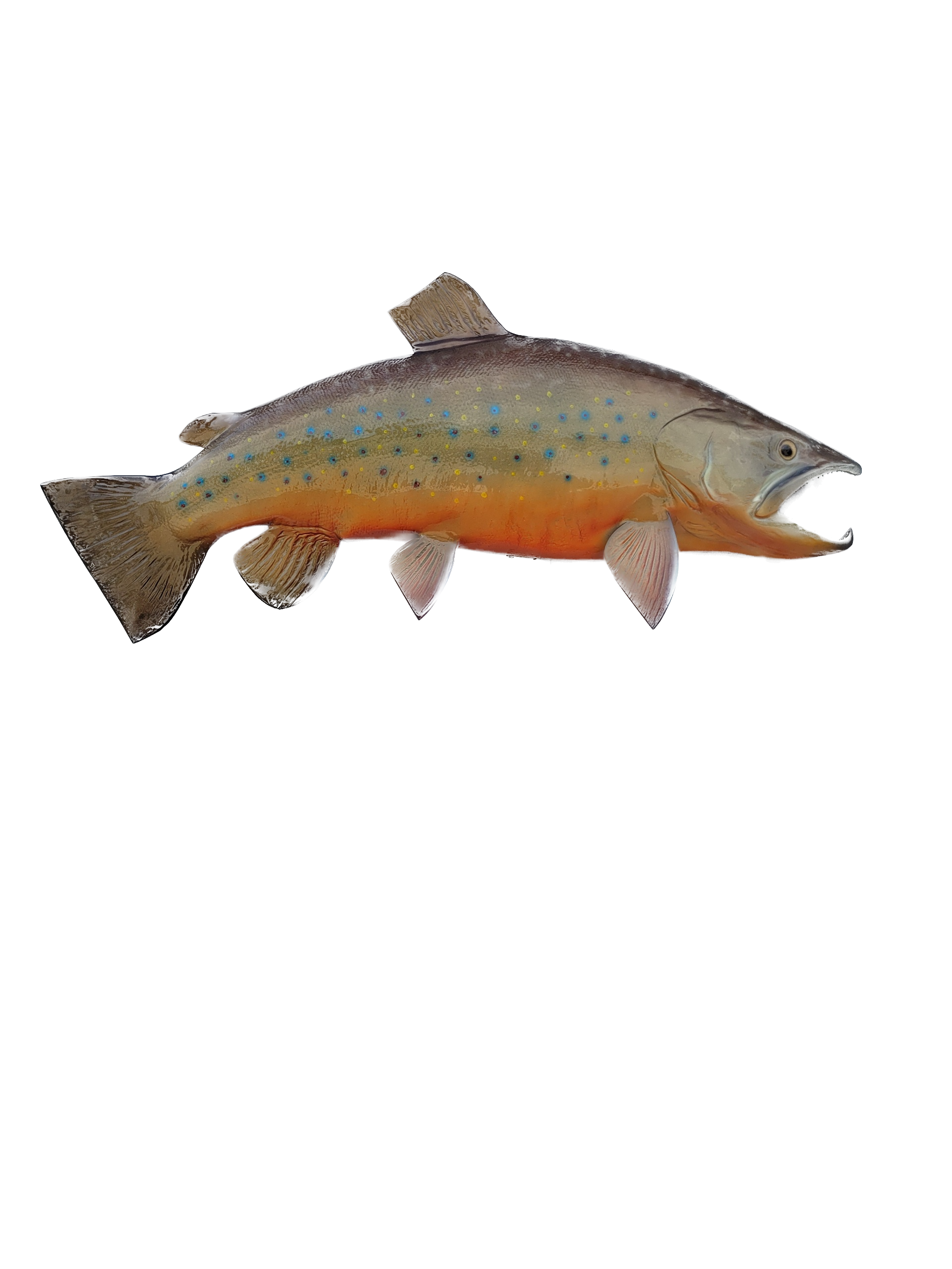 24 Inch Brook Trout Half Sided Fish Replica by Mount This Fish Company