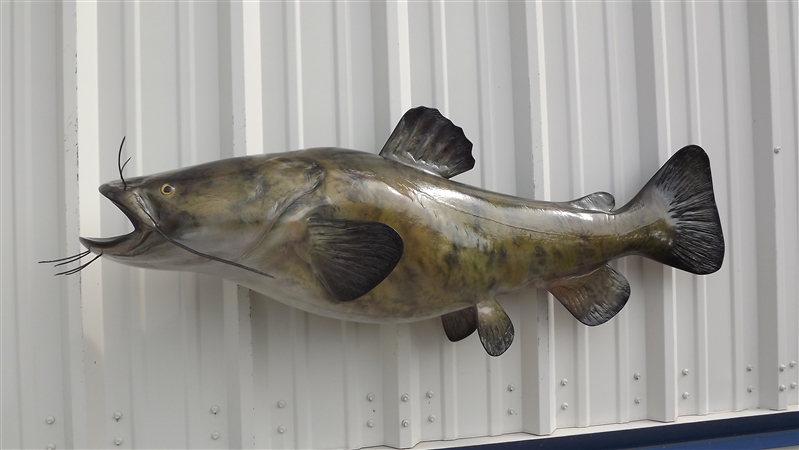 Channel Catfish Fish Mounts & Replicas by Coast-to-Coast Fish Mounts