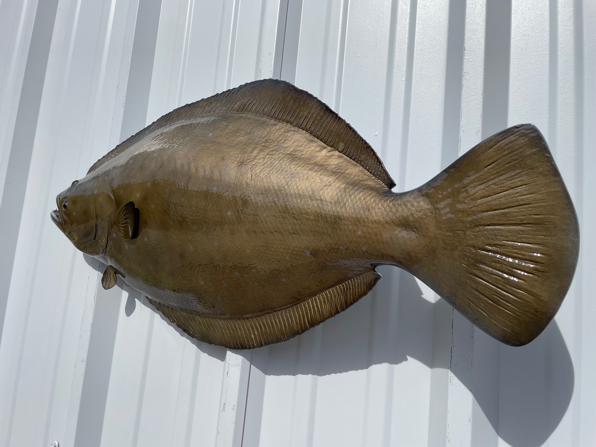 33 Flounder Full Mount