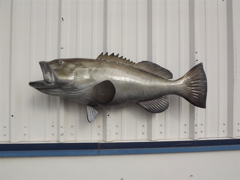 26-inch Nassau Grouper – Fish Mounts