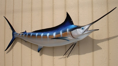 Blue Marlin Fish Postcard for Sale by BeachBumFamily