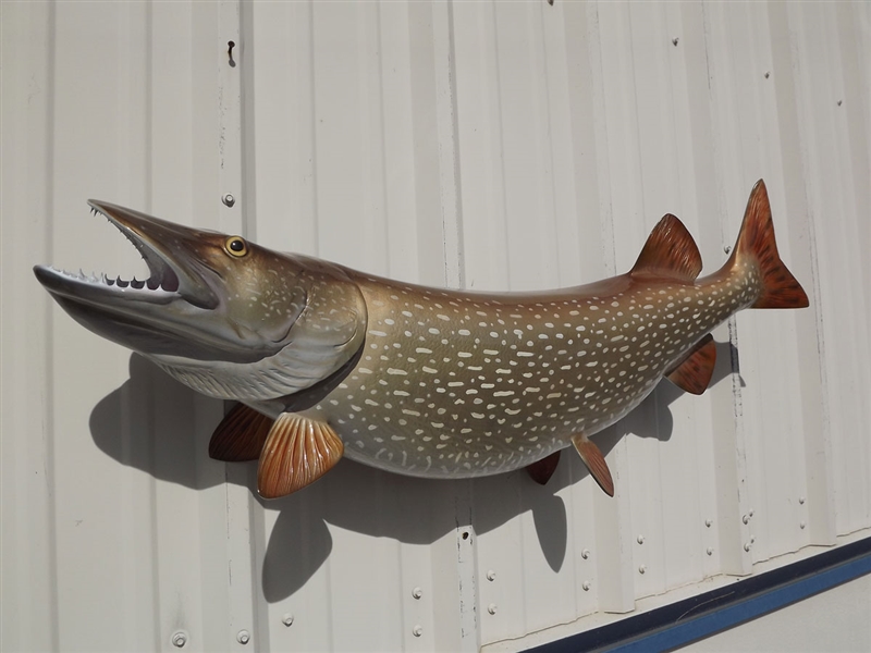 45 Inch Northern Pike Fish Mount Replica Reproduction For Sale