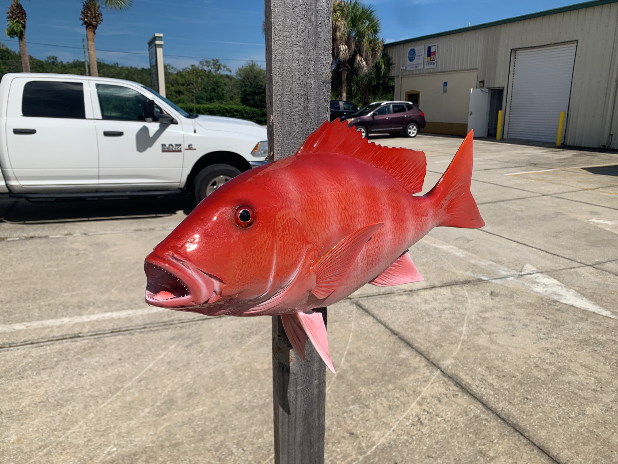 28-inch Red Snapper - Fish Mounts