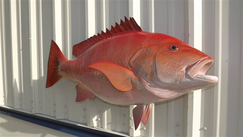 38 Red Snapper Full Mount