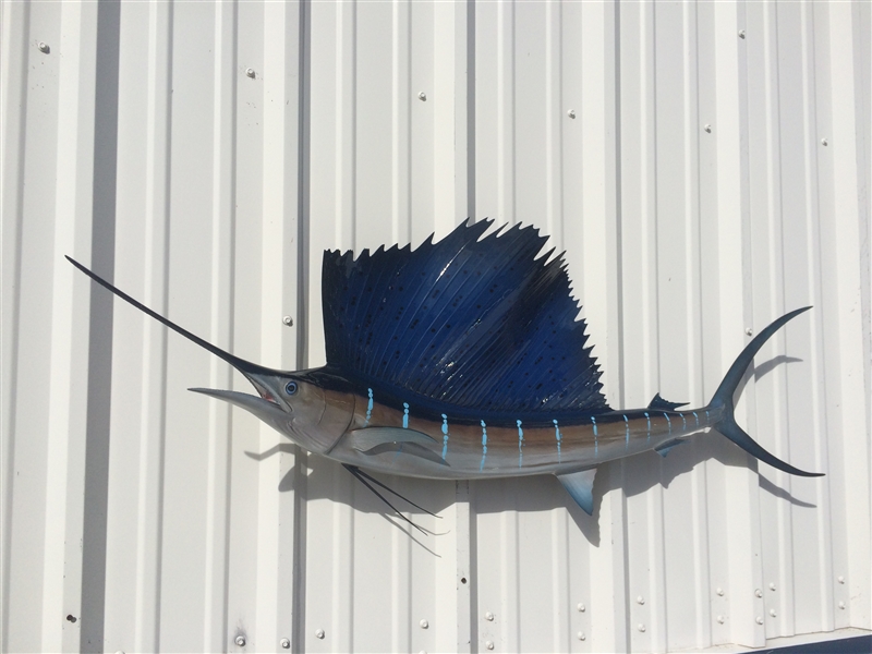 54 Atlantic Sailfish Full Mount