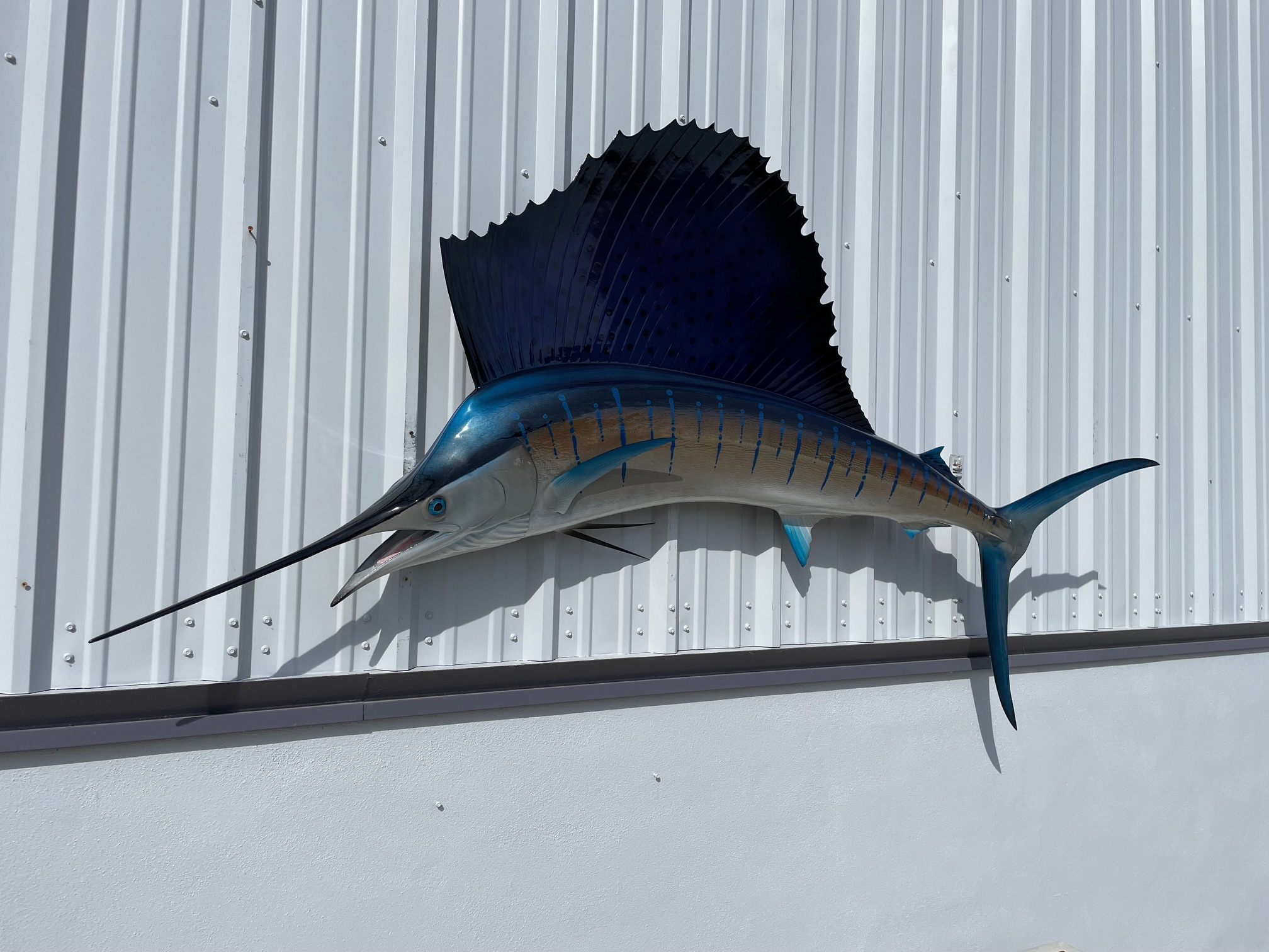 95 Inch Left Facing Sailfish Fish Mount Replica Reproduction For Sale