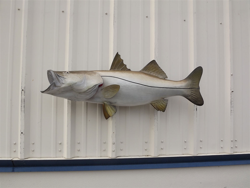 41 Inch Snook Mount 41 Inch Snook Full Mount