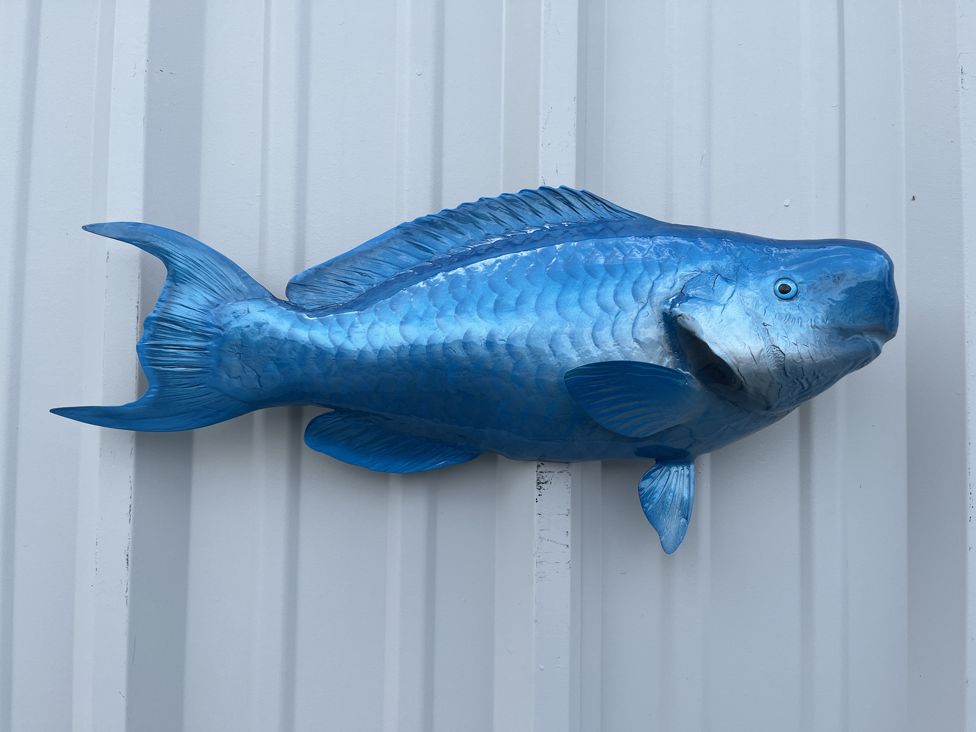 22-inch Peacock Bass - Fish Mounts