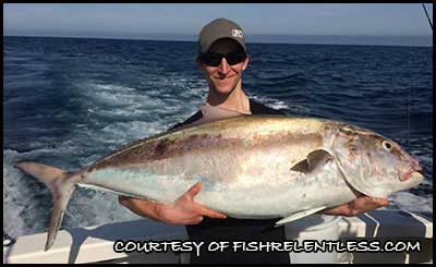 amberjack-customerpicture.jpg