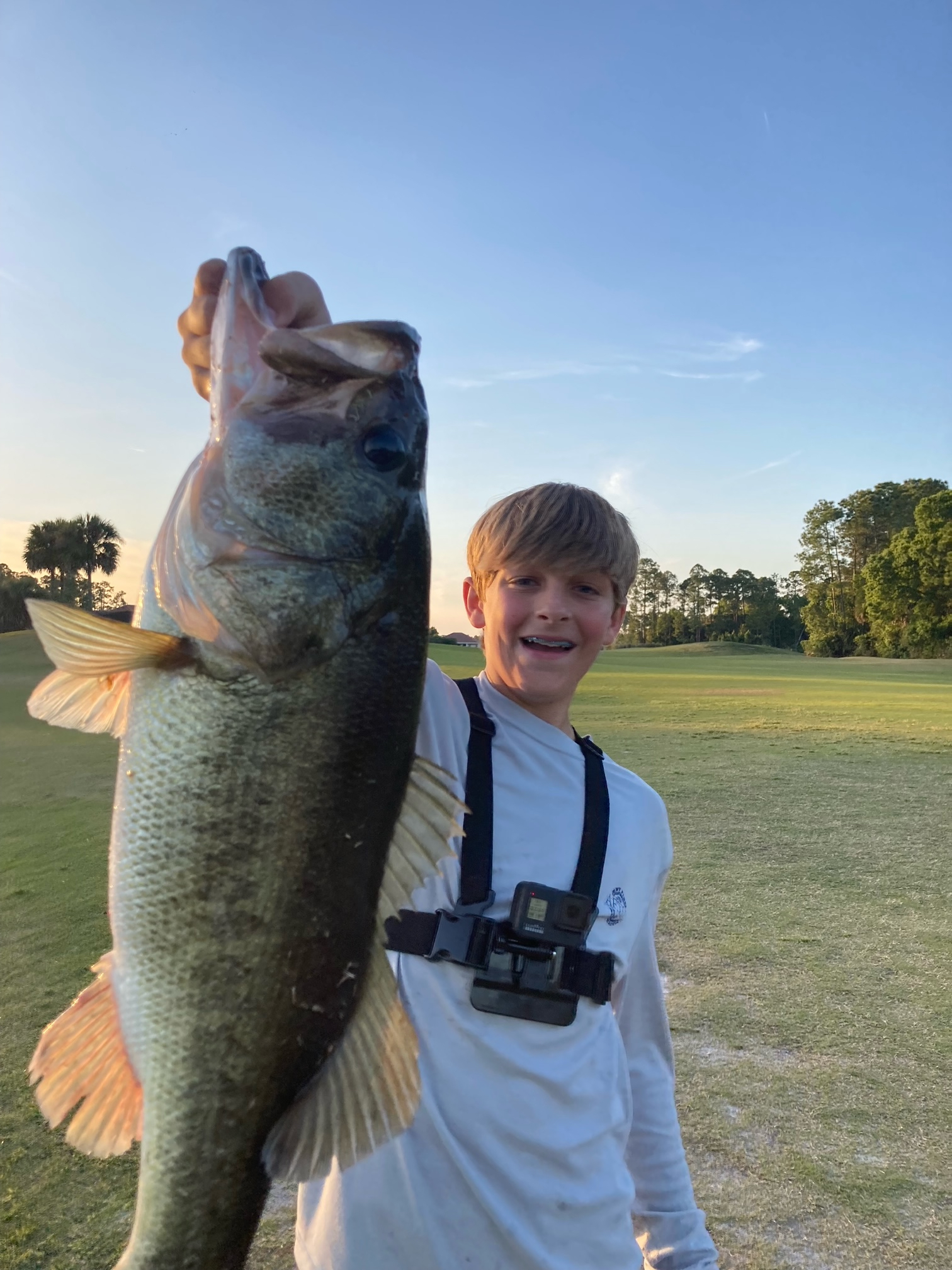 Largemouth Bass Mount Displayed on Wall